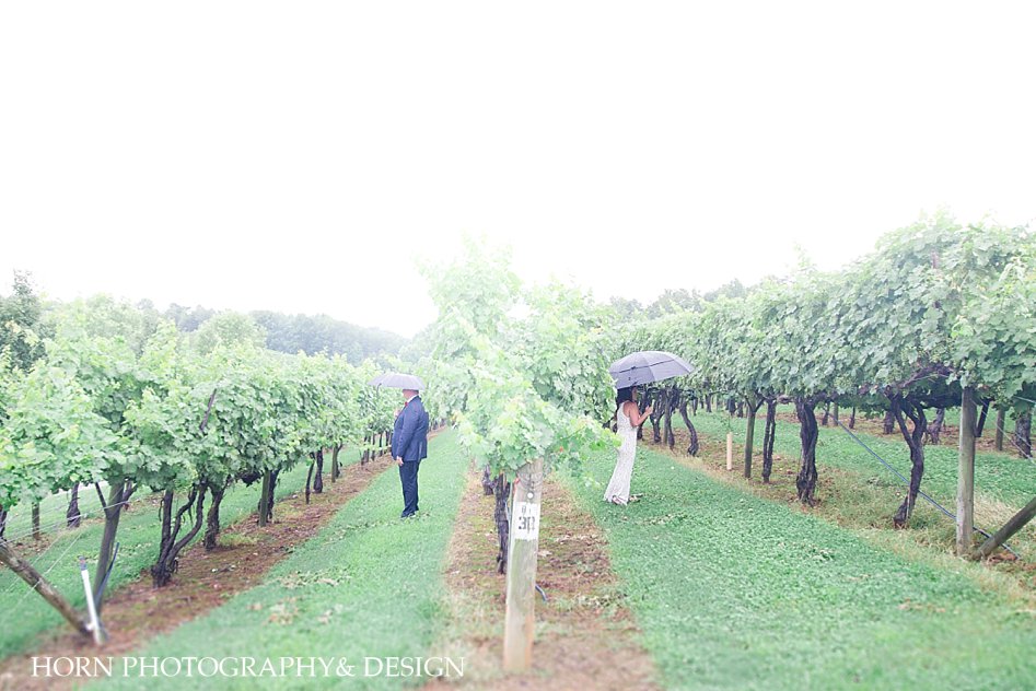 bride and groom first look in vineyard dahlonega ga