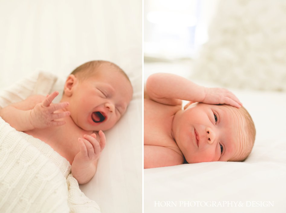 newborn photography horn photography and design lifestyle photography