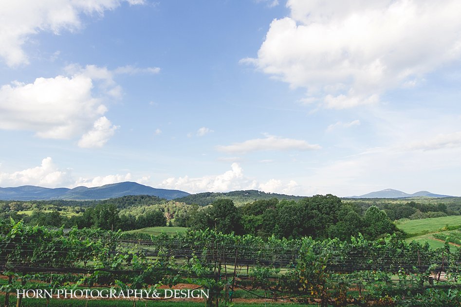 Kaya Vineyard and Winery mountain range view