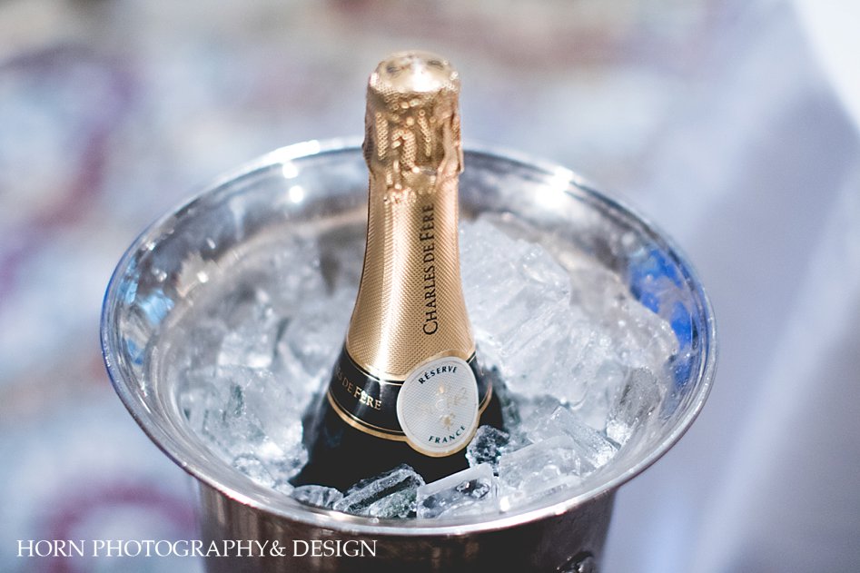 champagne on ice Chattahoochee Country Club Wedding Horn Photography and Design Dahlonega Ga