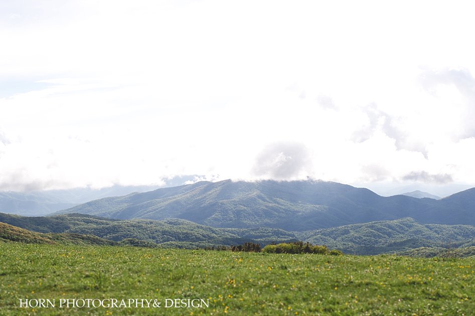 Max Patch Engagement Shoot horn photography and design Dahlonega 