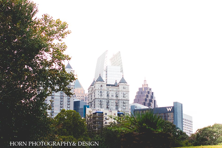 Atlanta skyline from piedmont park Horn photography and design