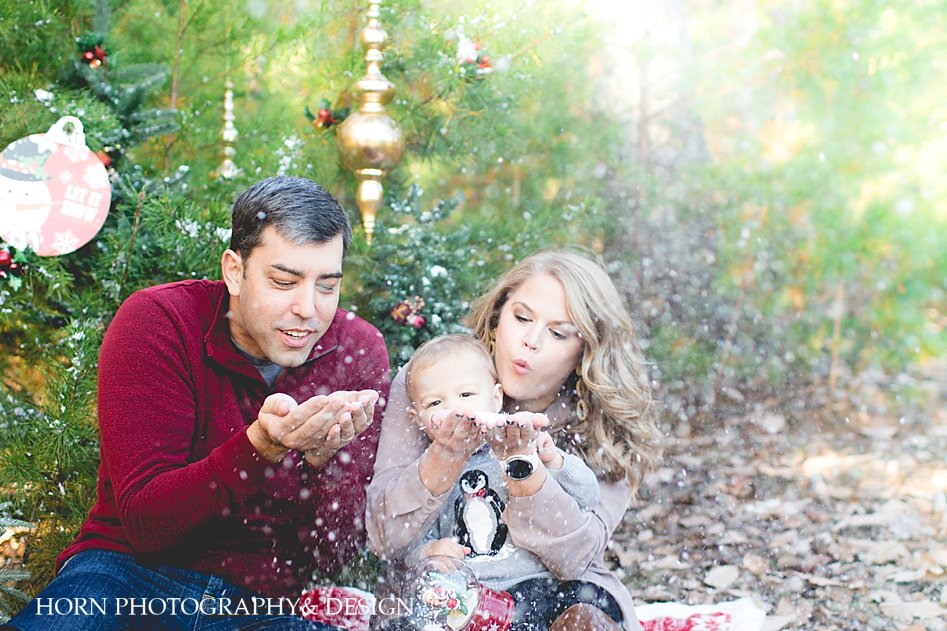 mini sessions Holiday Family Shoot Snow Horn Photography and Design Dahlonega Georgia Photographers