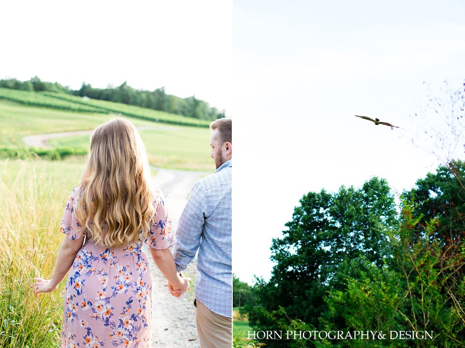 couple photo session ideas scenic bird in flight husband and wife photography horn photography and design