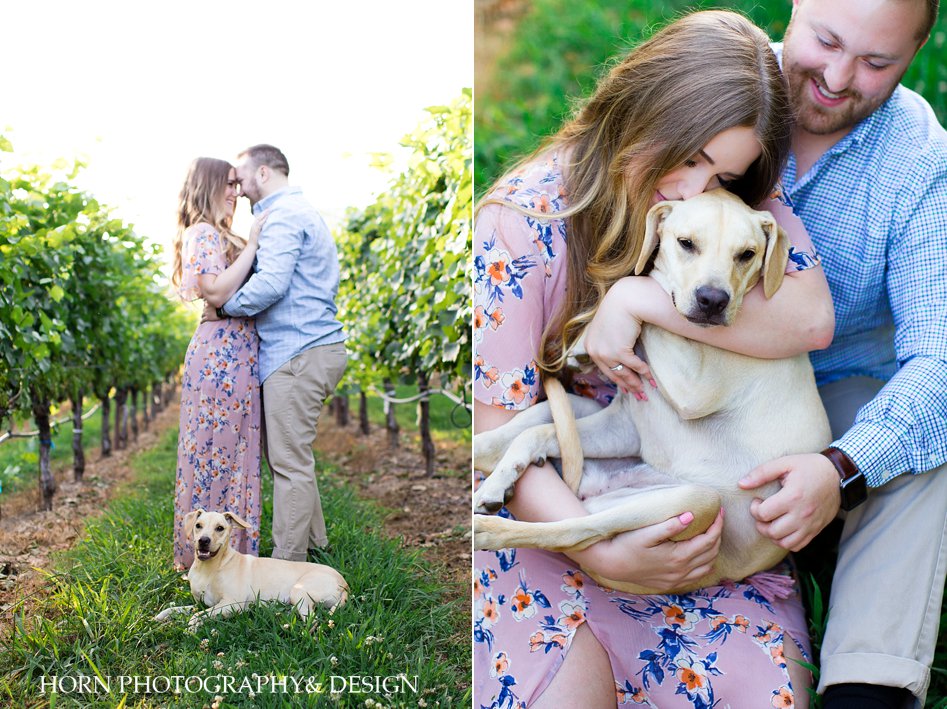 engagement photos with dogs snuggle poses horn photography and design