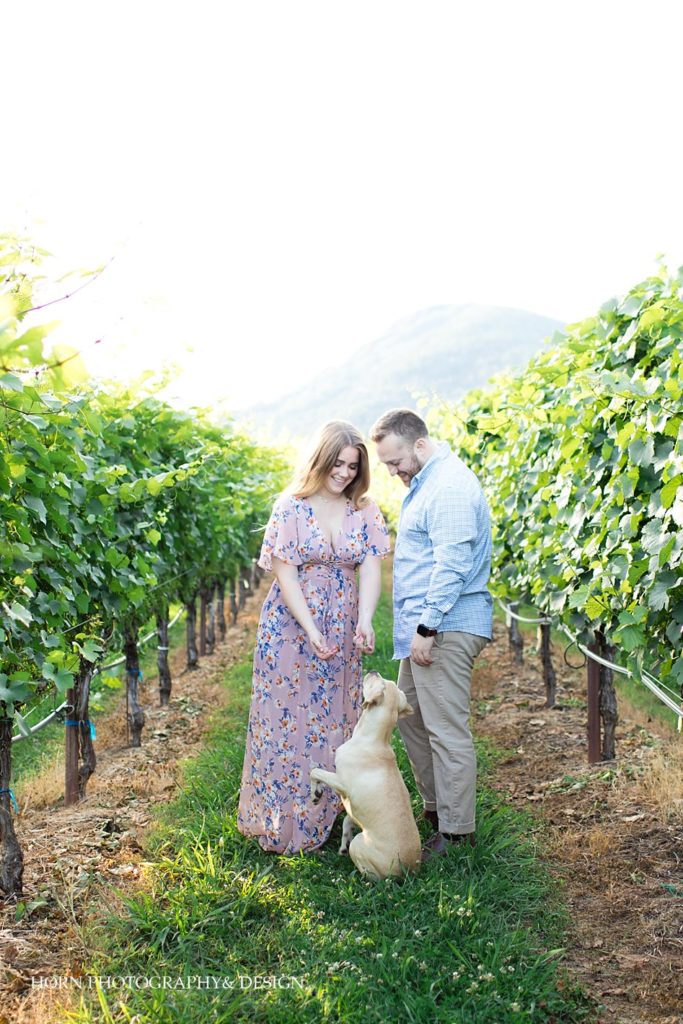 engagement photos with dogs Yonah Mountain Vineyard North Georgia horn photography and design