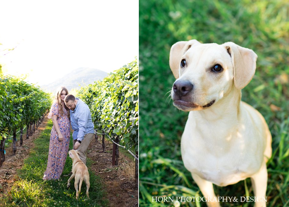 playing with pup engagement photo session South East horn photography and design