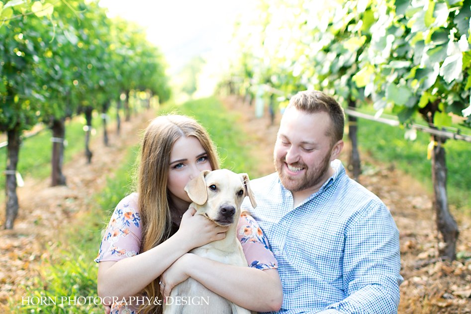 spring mountain vineyard engagement photos yellow lab horn photography and design